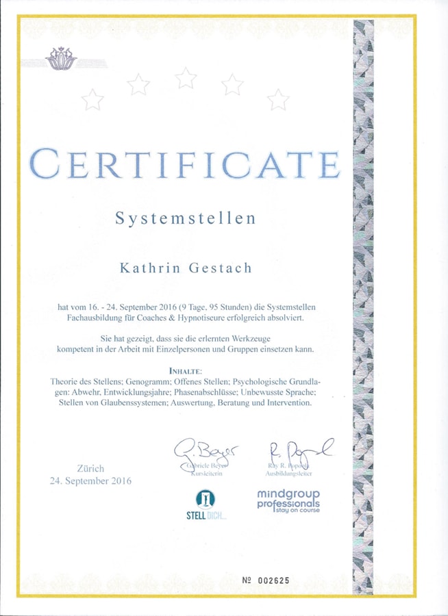 Zertifikat Systemstellen Mindgroup professionals 001